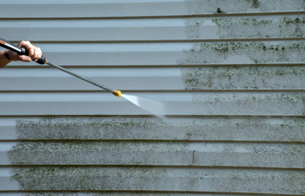 Mold Removal Process in East Dundee, IL