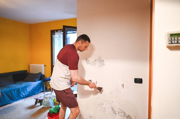 Best Residential Mold Removal  in East Dundee, IL